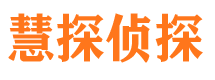 桃江外遇出轨调查取证